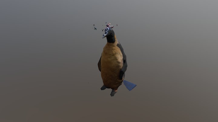 Penguin4 3D Model