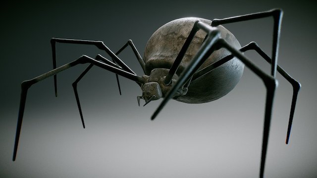 Spider WalkCycle 3D Model