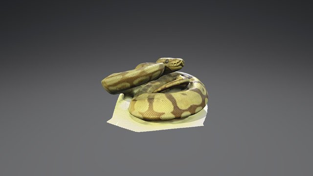 Python full body 3D Model