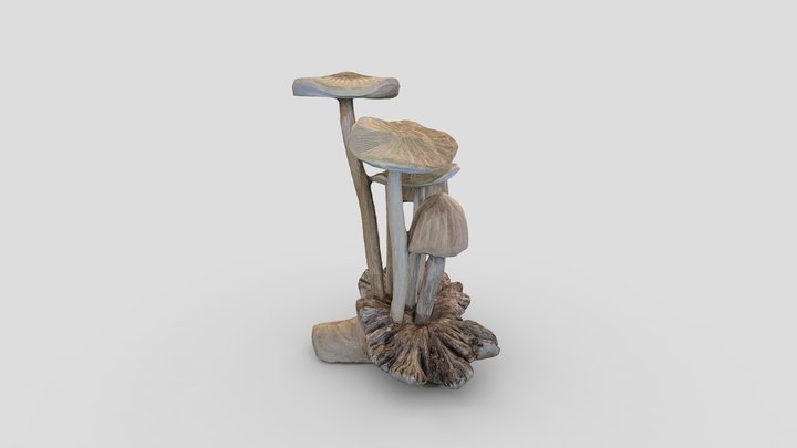 Mushroom wood 3D Model