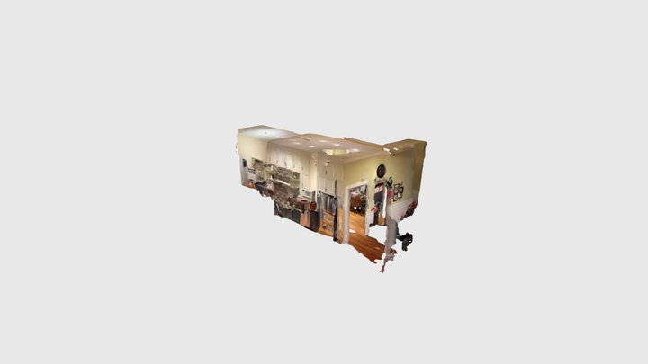Scaniverse Model 3D Model