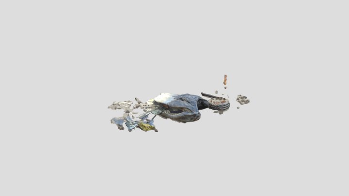 Gator Bytes 3D Model