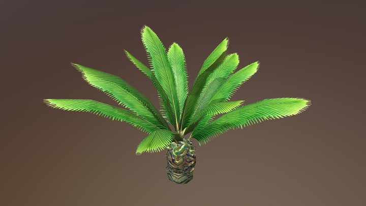 Sago Palm, Game ready, Low poly, baked textures. 3D Model