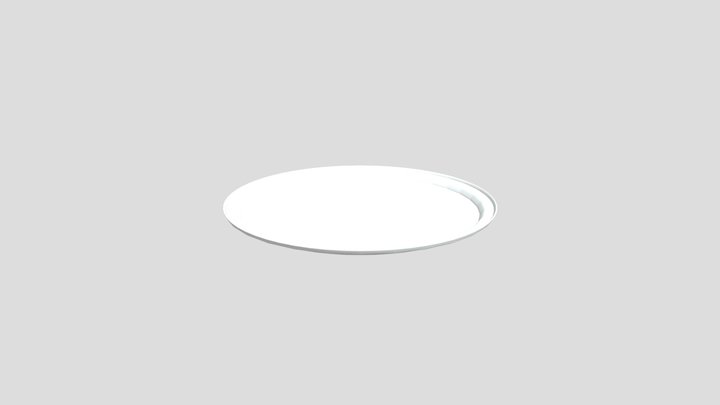 Plate 3D Model