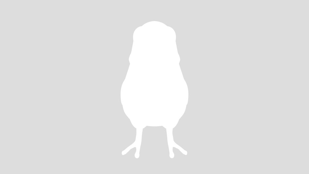 Funny Pigeon Sculpture