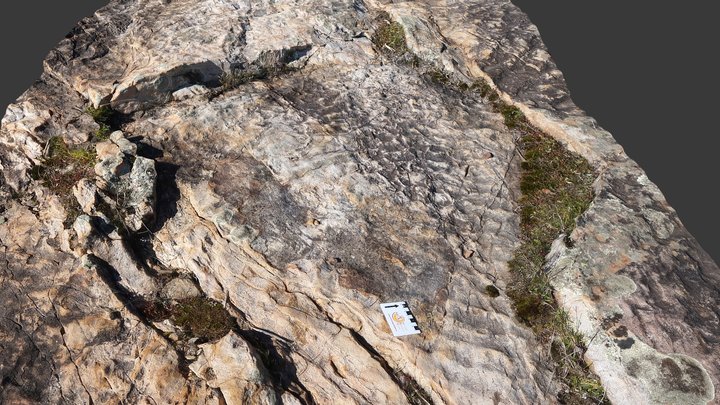Armorican-quartzite 3D models - Sketchfab