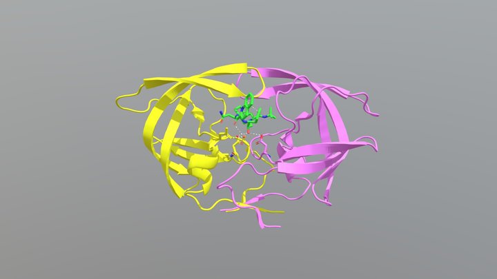 HIV-1 Protease and Saquinavir 3D Model