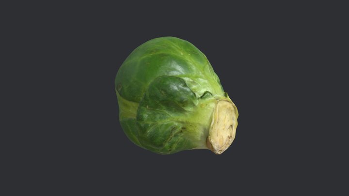 Brussels Sprout 2 3D Model