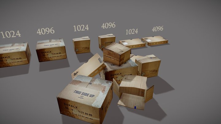 CardBoard Box Pack 3D Model