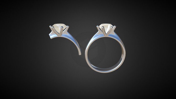 Ring 2017 03 with cross section 3D Model