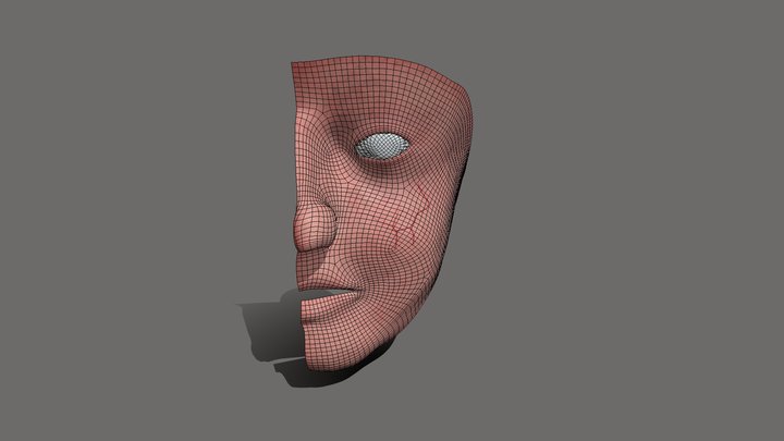 Face 3D Model