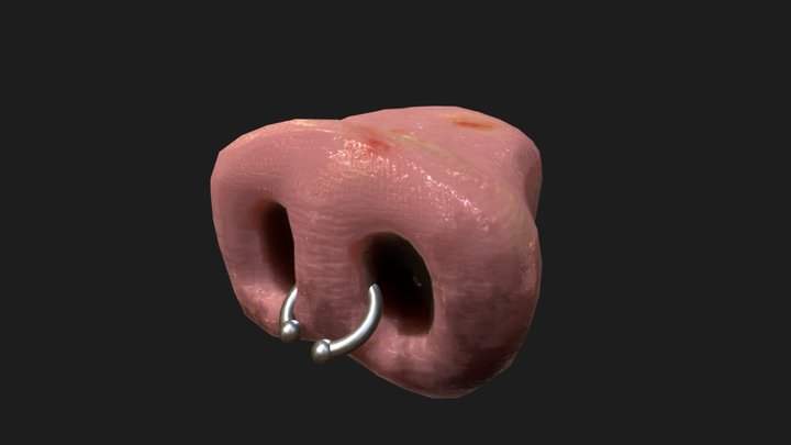 Pig Nose 3D Model