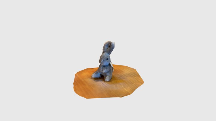 rabitgray 3D Model