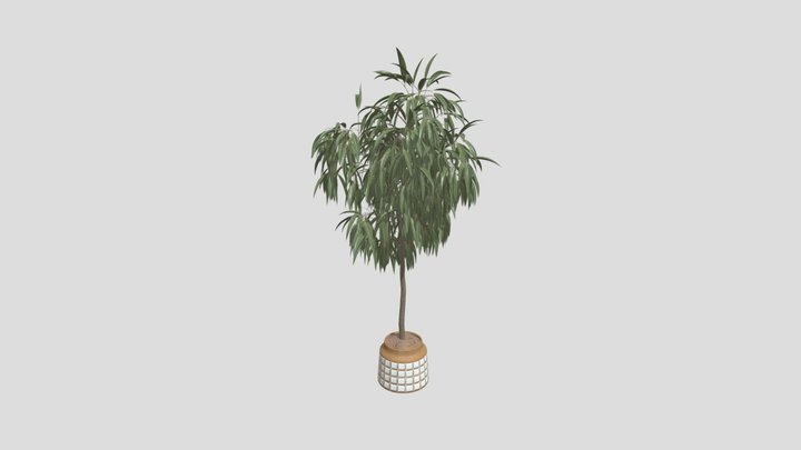 Huge Ficus Binnendijkii Indoor Plant 4 – Modelo 3D gratuito STL