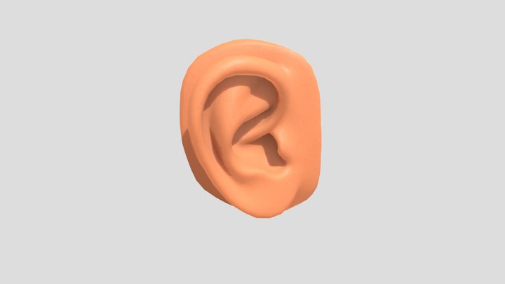 Ear 3d model Svyat 3D Model