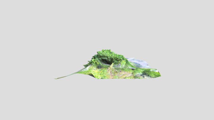 IM4 Bush 3D Model