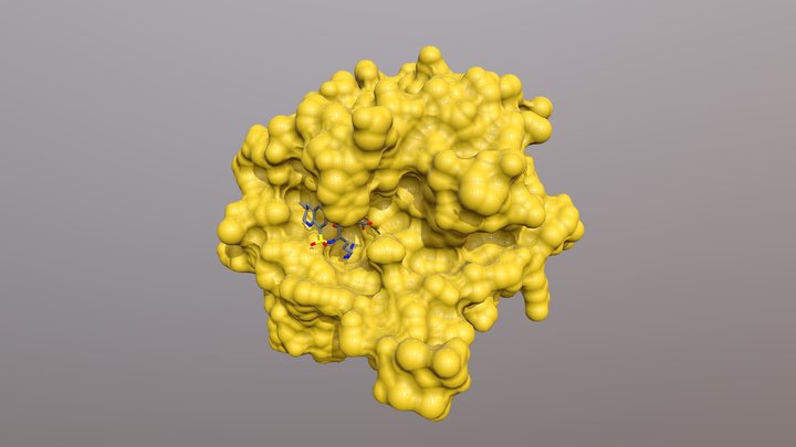 Thrombin Argatroban Complex 3D Model