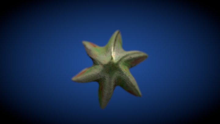 Starfish - Low Poly/Animated/PBR/Free 3D Model
