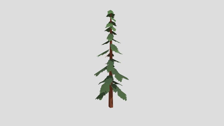 Pine Tree 3D Model