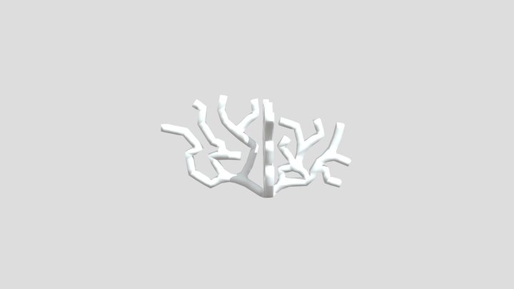 Coral 3D Model