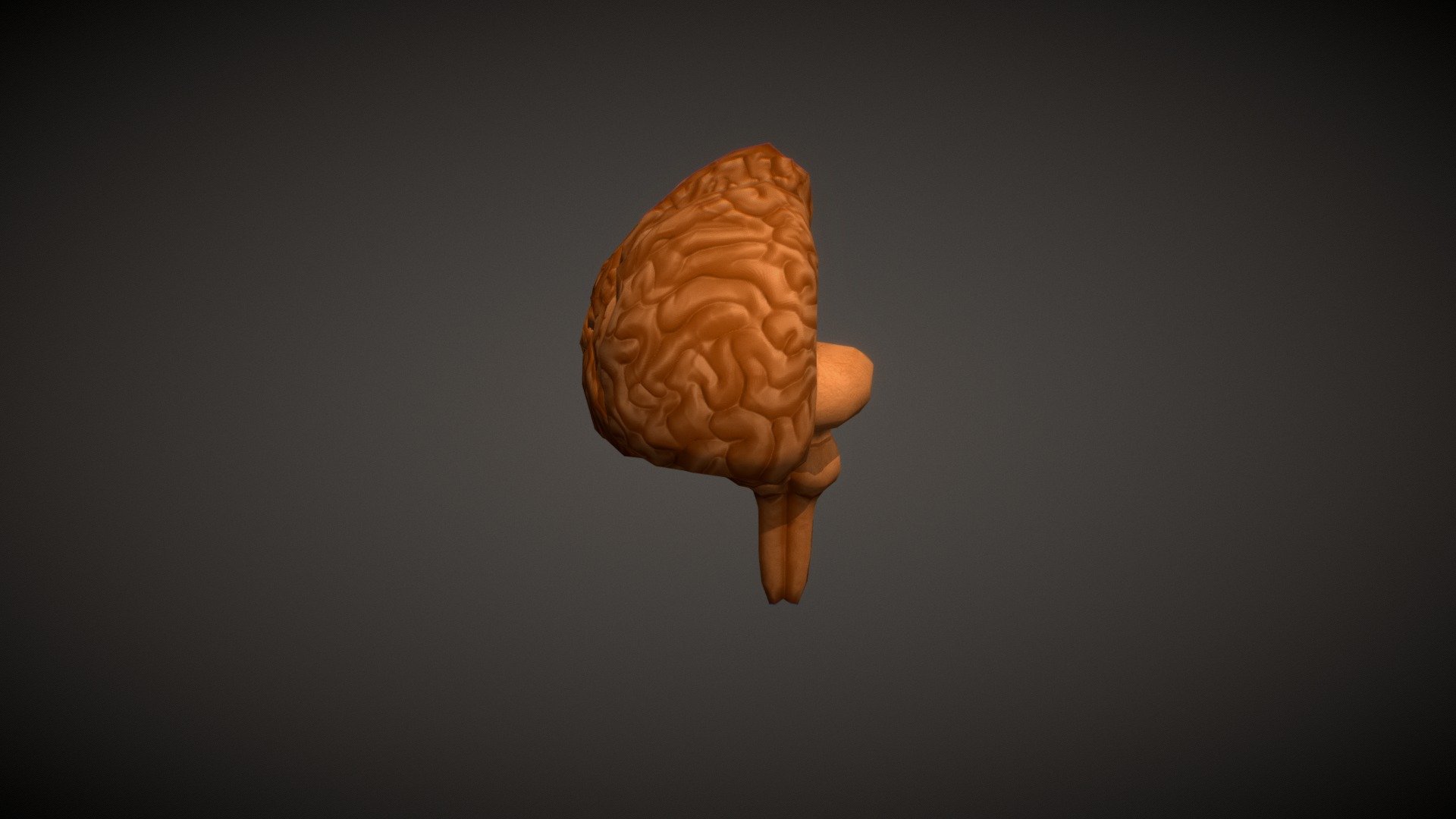 Human Brain — Sketchfab embed 3D viewer