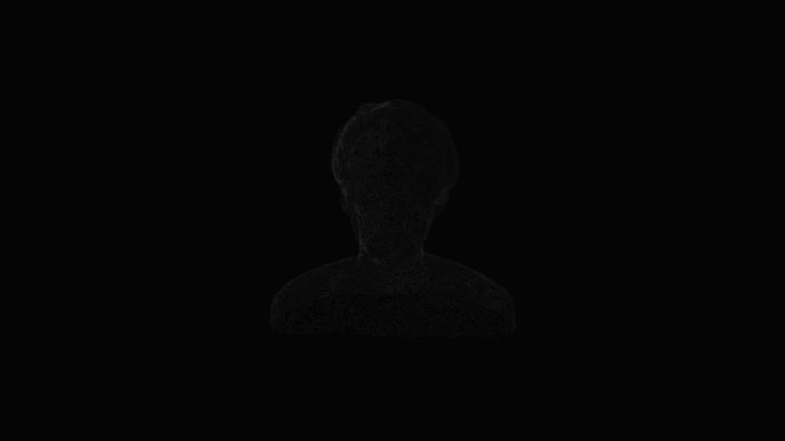 scan_016 3D Model
