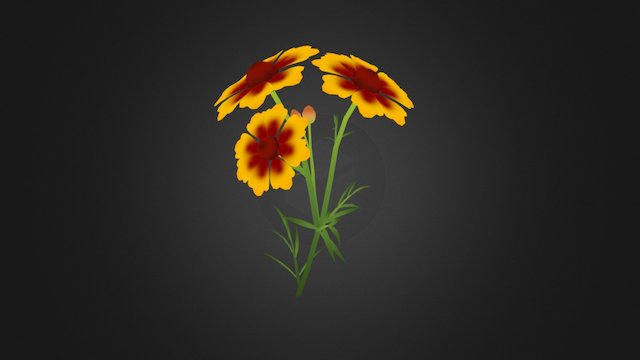 Coreopsis Tinctoria 3D Model