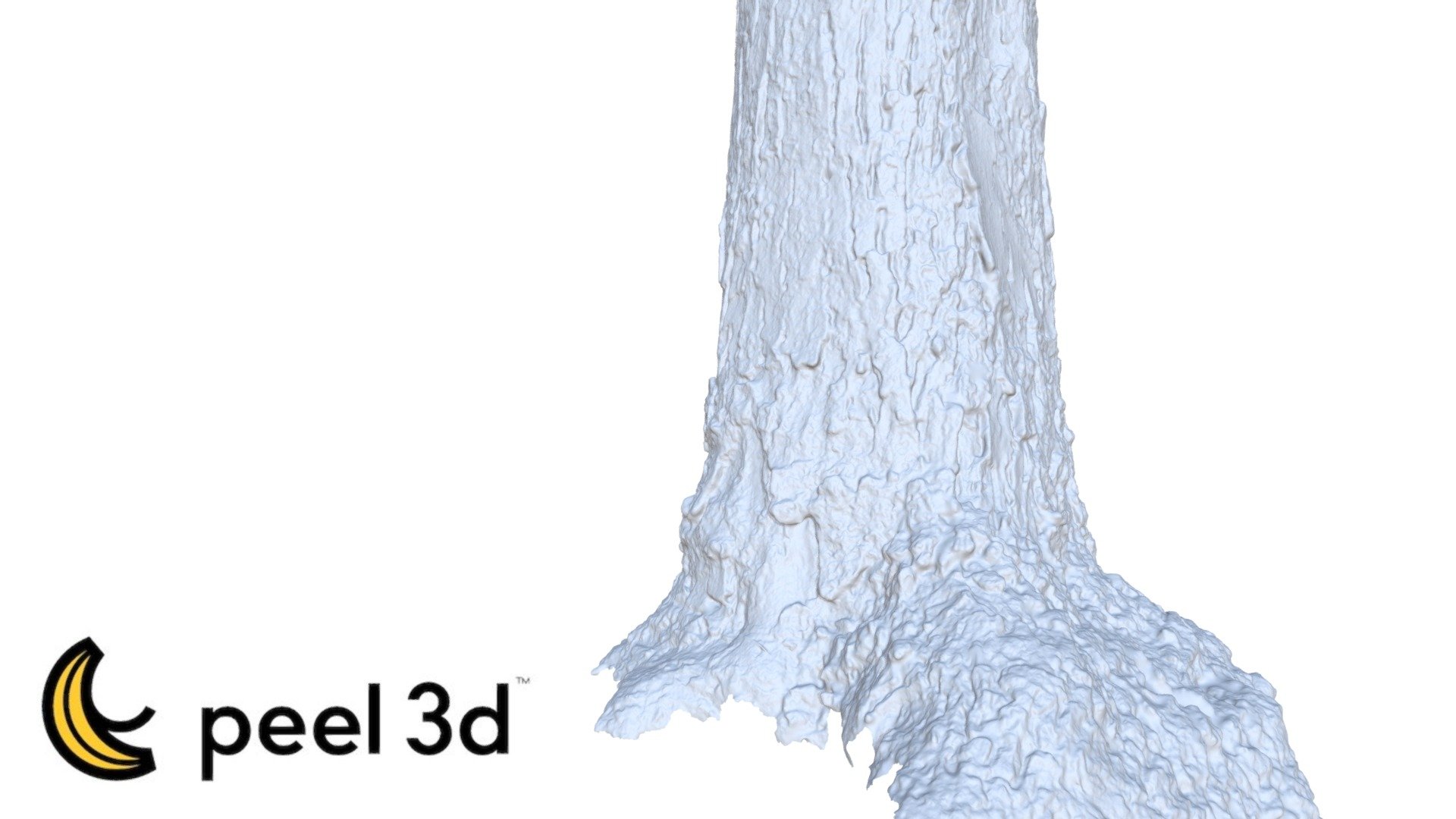 Maple tree with peel 3d