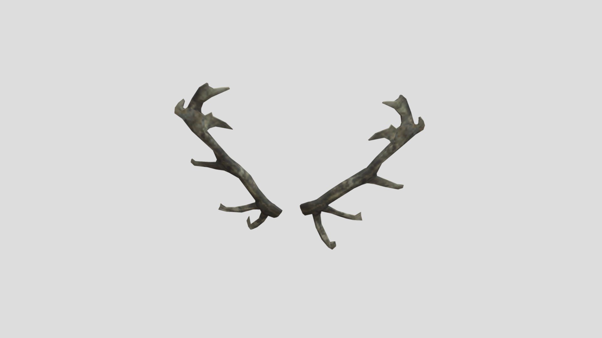 Dead frontier Reindeer antler