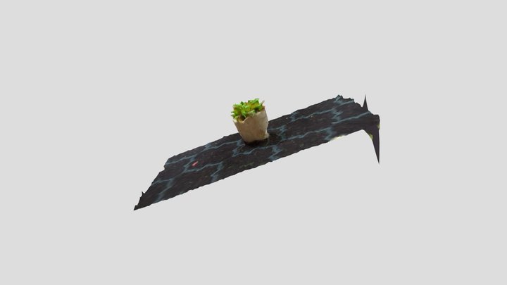 small plant