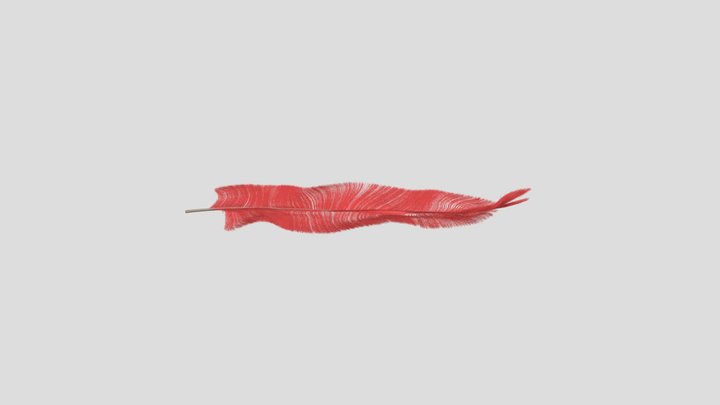 Feather 3D Model