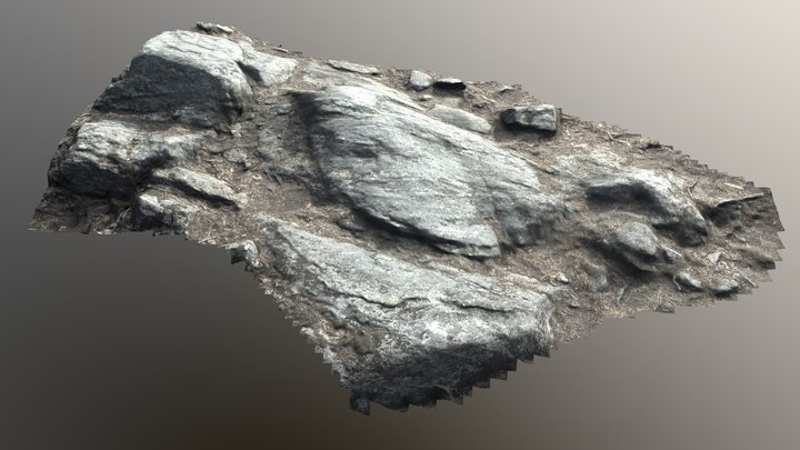 Ground Rock 01 – Free 3D Model STL