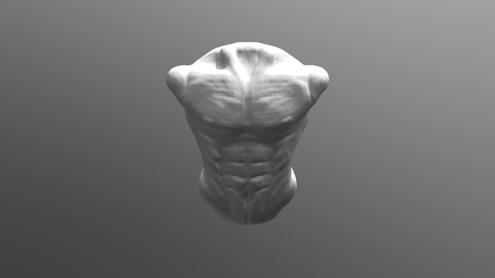 Practice Anatomy Sculpt 3D Model