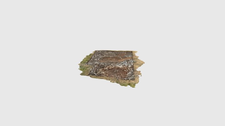 Buckspool fort roundhouses 2025 3D Model