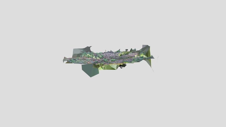 RNWS south sett hole 1 – Modello 3D gratuito STL
