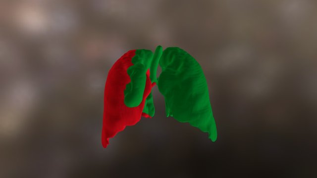 Lung v3 3D Model