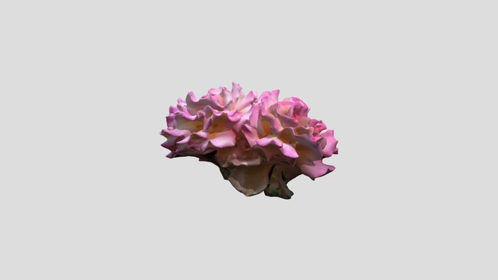 Three roses Kiri masked – Modello 3D gratuito STL