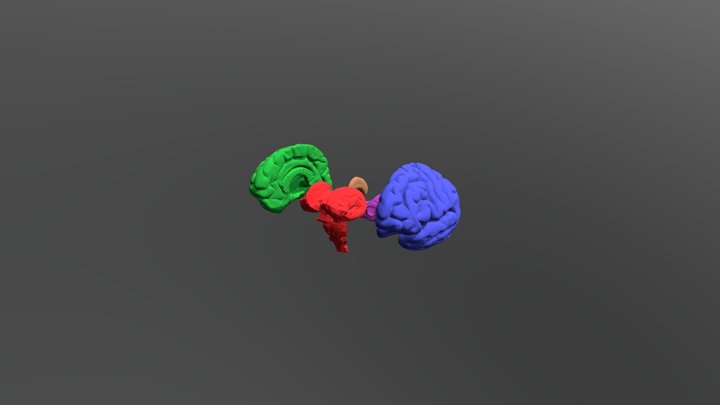 Assorted Bits 3D Model
