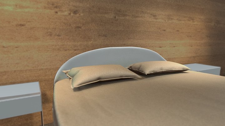 1 3D Model