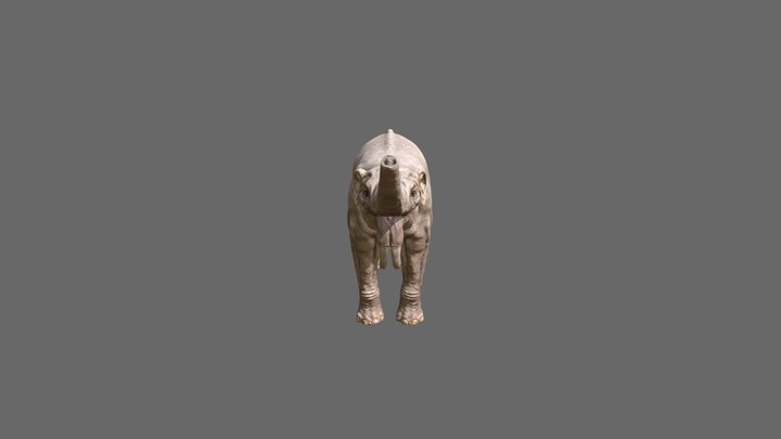 Deinotherium thraceiensis 3D Model