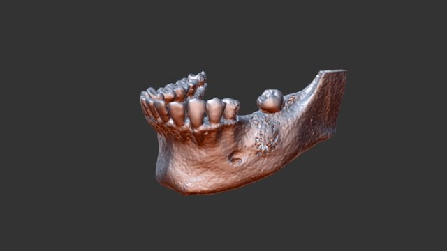 Ms Lakshmi 964 89- 13195 00 3D Model