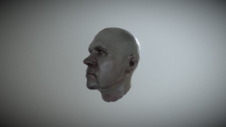head 3D Model