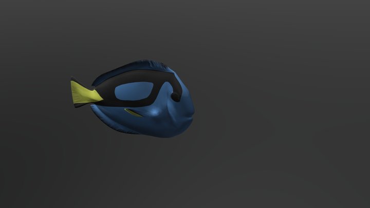 Surgeon Fish 3D Model