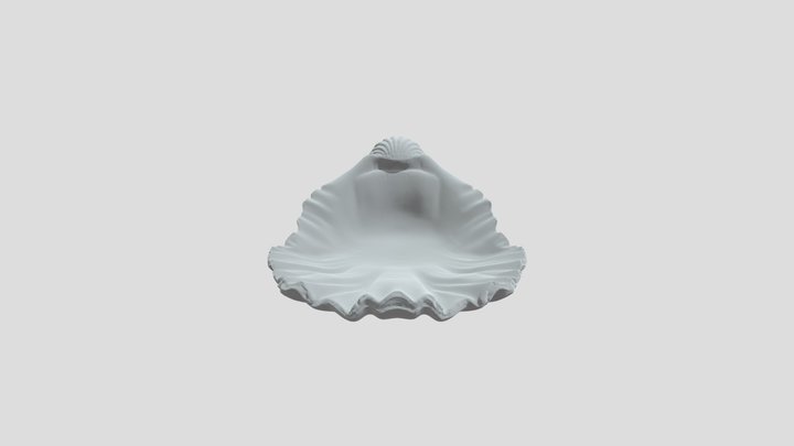 Snowy scallop shell 3D Model