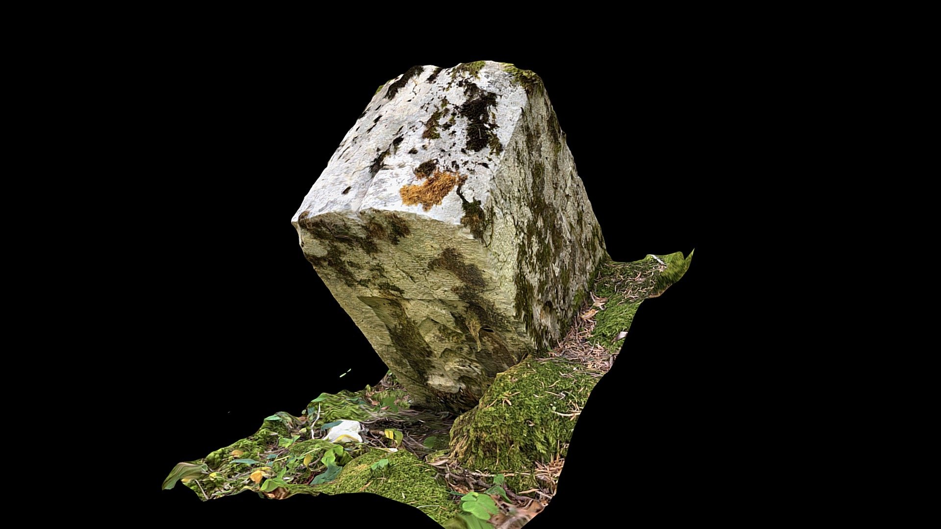 borNE.LBRE-STSU.a - Download Free 3D model by clwacker [8634e98 ...