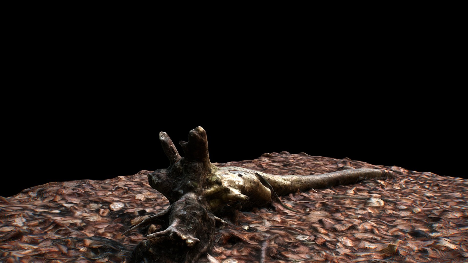 Scanned Forest Branch