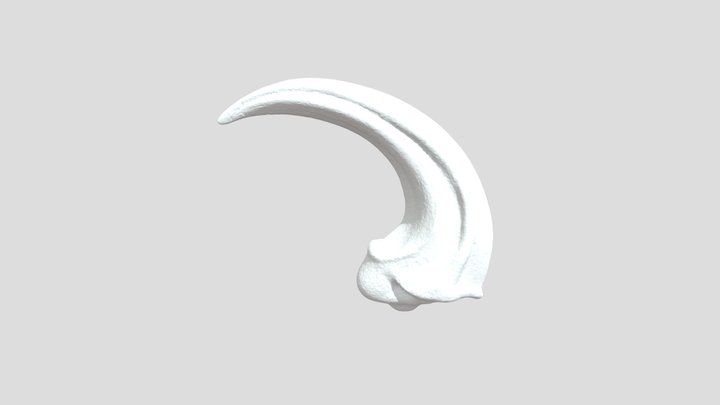 Raptor Claw Fossil 3D Model