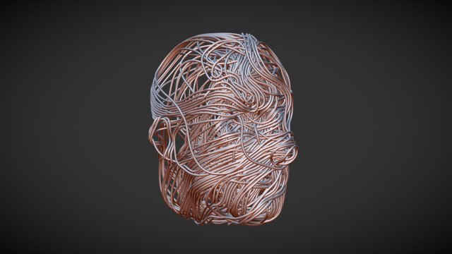 Wired Head v3 3D Model