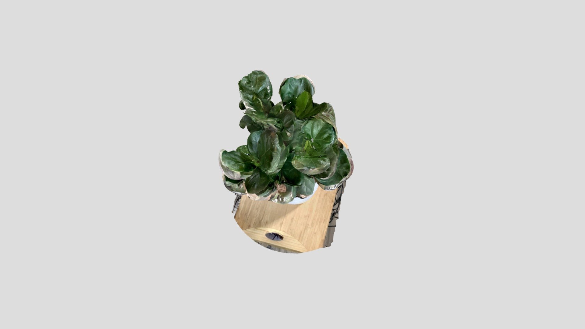 Jared_Plant_Object3
