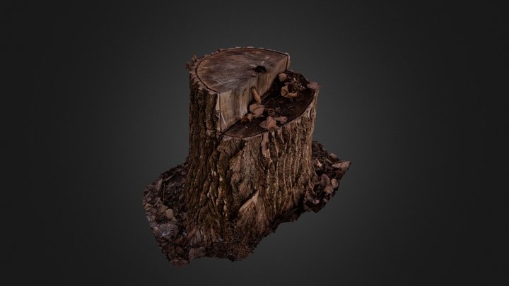 Tree_stump_big_01 3D Model